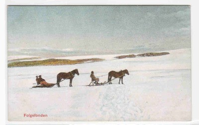 Horse Sled Glacier Folgefonden Norway 1910c postcard