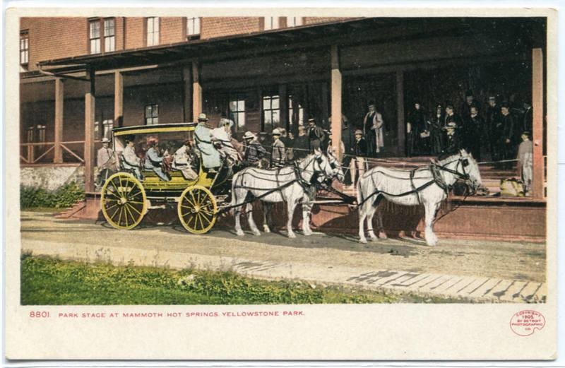 Stage Coach Mammoth Hot Springs Yellowstone Park Wyoming 1907c postcard