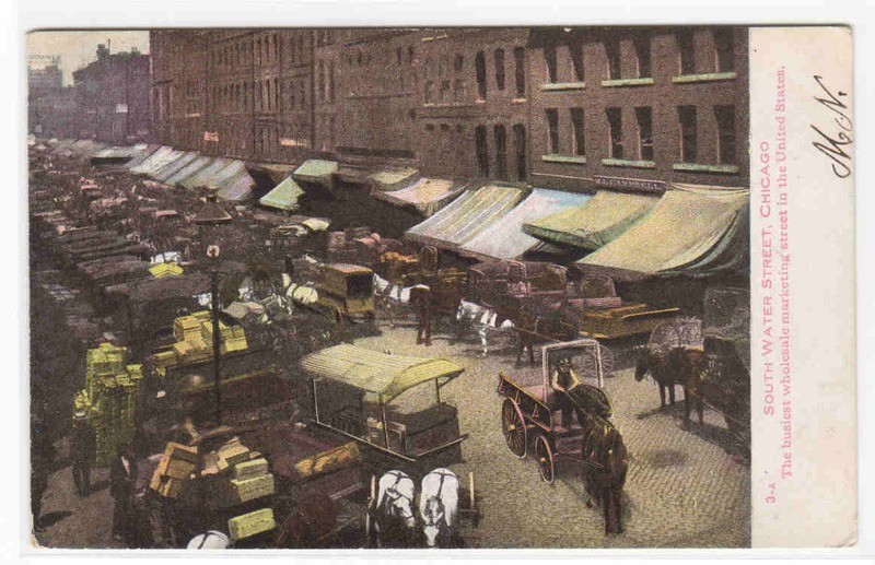 South Water Street Market Wagons Chicago Illinois 1908 postcard