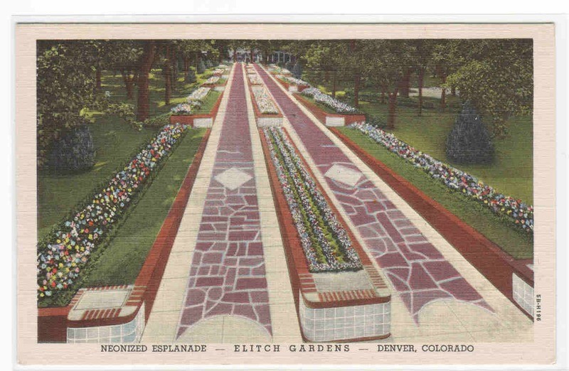 Neonized Esplanade Elitch Gardens Denver Colorado postcard