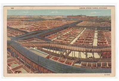 Union Stock Yards Chicago Illinois linen postcard