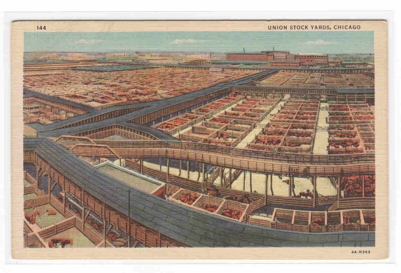 Union Stock Yards Chicago Illinois linen postcard