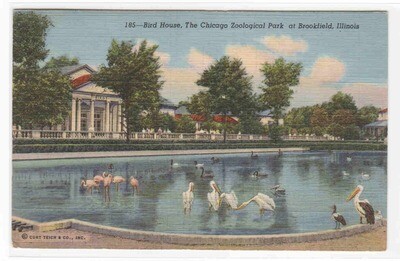 Bird House &amp; Pond Brookfield Zoo Chicago Illinois 1942 postcard