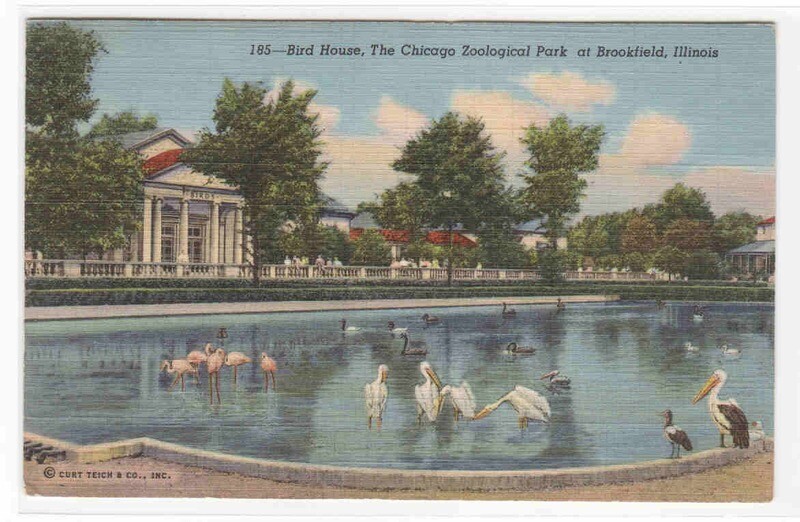 Bird House &amp; Pond Brookfield Zoo Chicago Illinois 1942 postcard