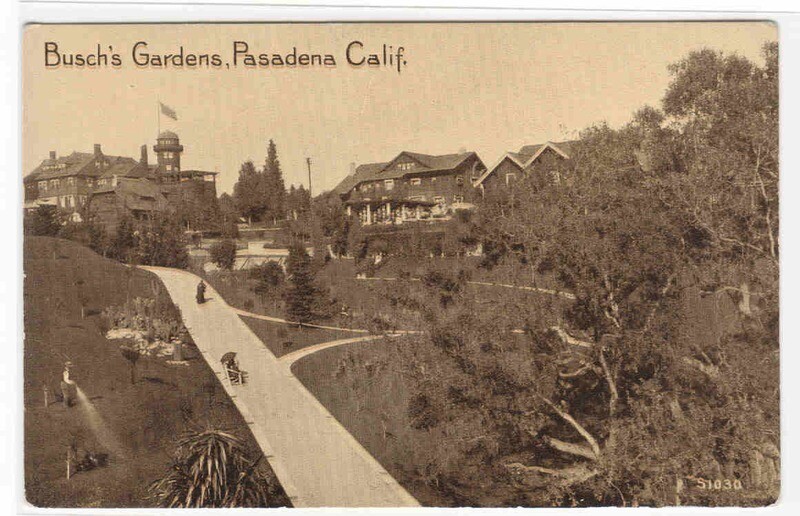 Busch’s Gardens Pasadena California 1910c postcard