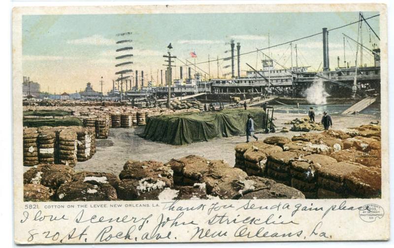 Cotton Levee Steamers New Orleans Louisiana 1907 postcard