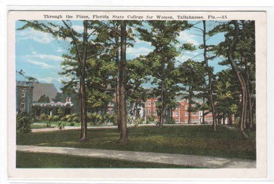Florida State College University Women Tallahassee Florida 1930s postcard