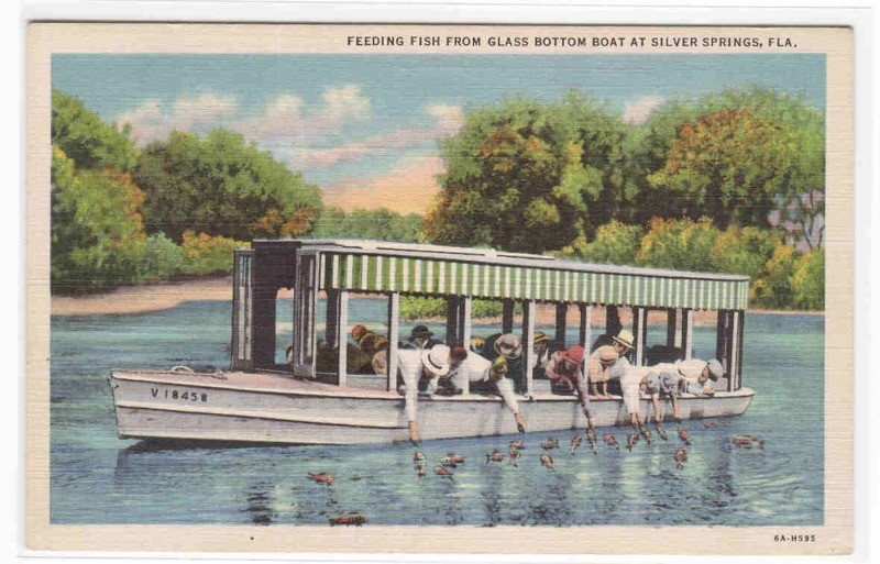 Glass Bottom Boat Feeding Fish Silver Springs Florida postcard