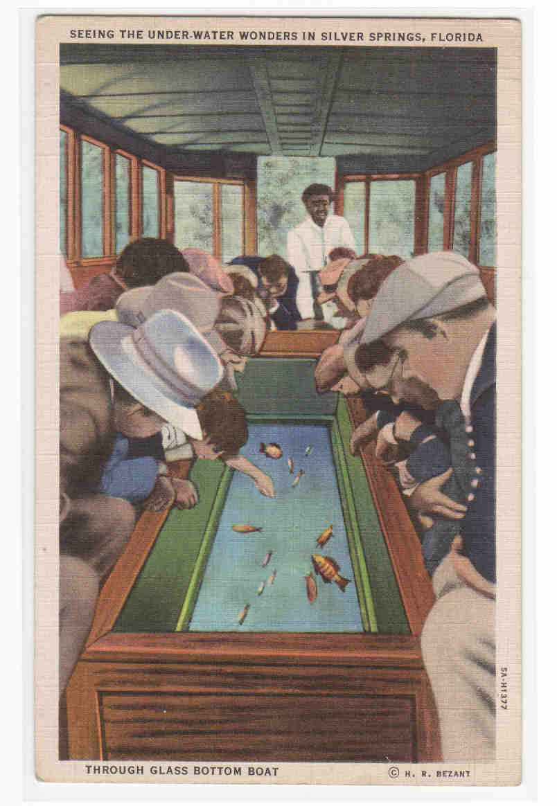 Viewing Fish Through Glass Bottom Boat Interior Silver Springs Florida postcard