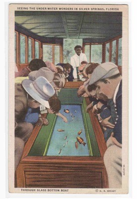 Viewing Fish Through Glass Bottom Boat Interior Silver Springs Florida postcard