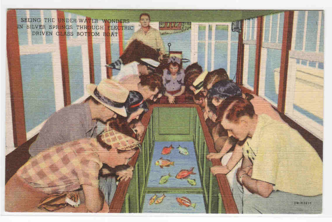 Glass Bottom Boat Interior Viewing Fish Silver Springs Florida postcard