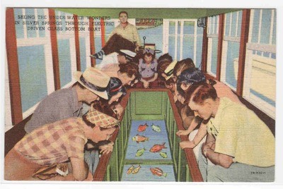 Glass Bottom Boat Interior Viewing Fish Silver Springs Florida postcard