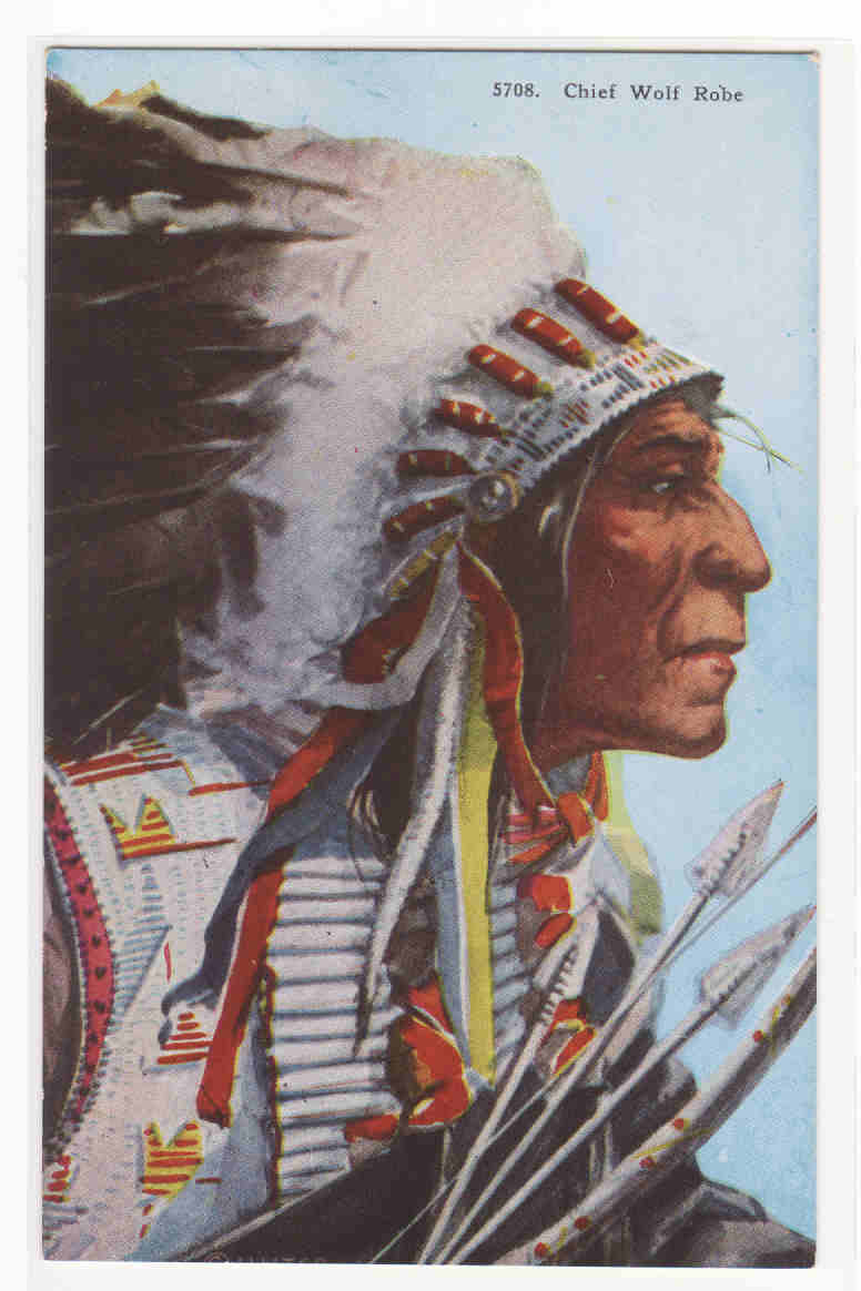 Chief Wolf Robe Native American Indian Chief postcard
