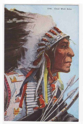 Chief Wolf Robe Native American Indian Chief postcard