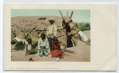 Pima Wickiup Native American Indians 1905c postcard