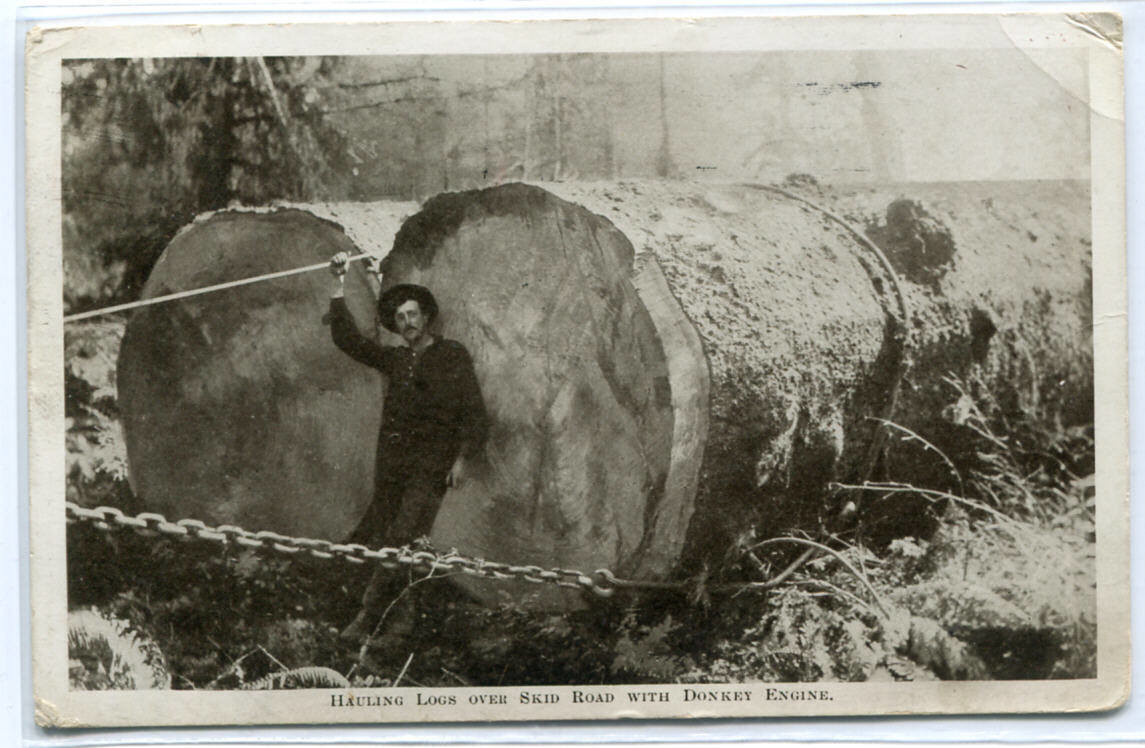 Hauling Logs Over Skid Road With Donkey Engine Logging 1910 postcard