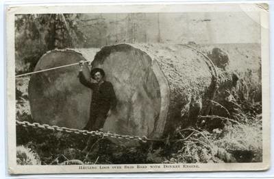 Hauling Logs Over Skid Road With Donkey Engine Logging 1910 postcard