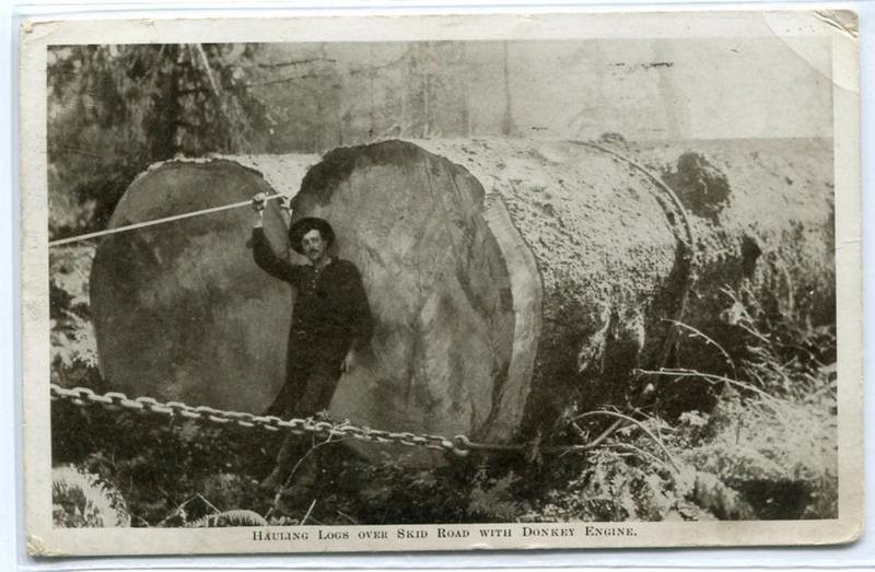 Hauling Logs Over Skid Road With Donkey Engine Logging 1910 postcard