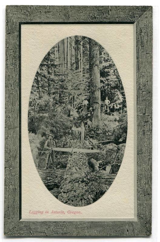 Felling Tree Logging Astoria Oregon 1910c postcard