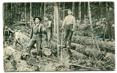 Logging Team in Forest Rainier Oregon 1910 postcard
