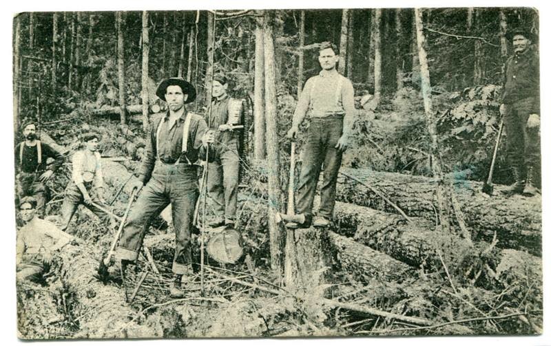 Logging Team in Forest Rainier Oregon 1910 postcard