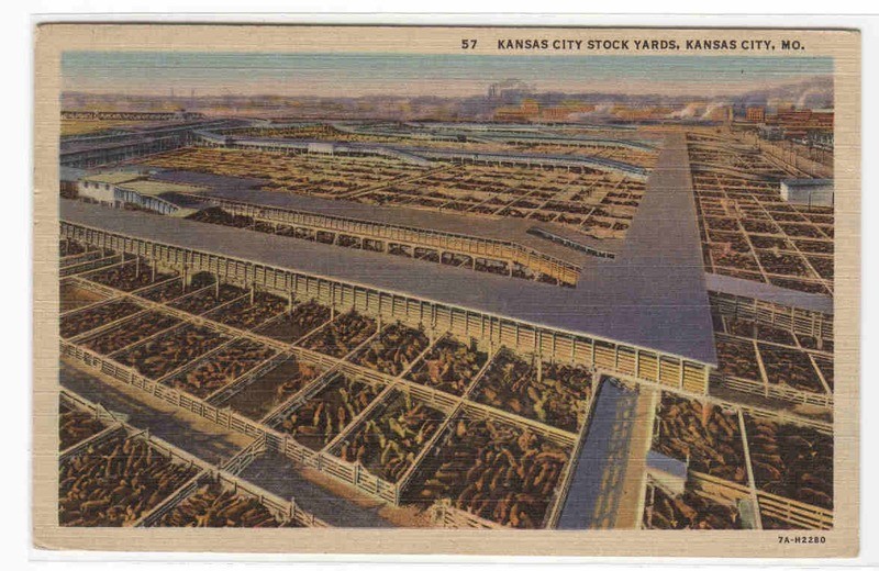 Stock Yards Meat Industry Kansas City Missouri postcard