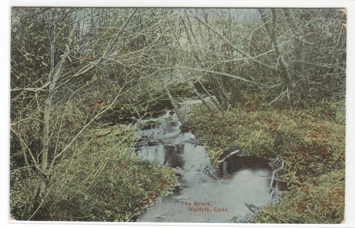 The Brook Norfolk Connecticut 1910 postcard