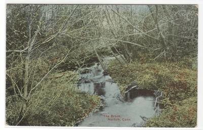 The Brook Norfolk Connecticut 1910 postcard