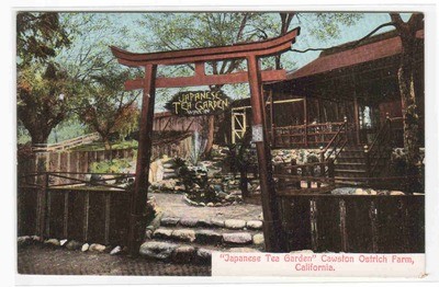 Japanese Tea Garden Cawston Ostrich Farm Pasadena CA postcard