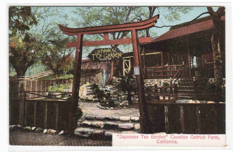 Japanese Tea Garden Cawston Ostrich Farm Pasadena CA postcard