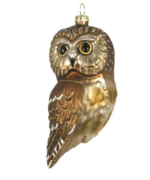 Northern Saw Whet Owl Bird Blown Glass Ornament Handcrafted Cobane Christmas