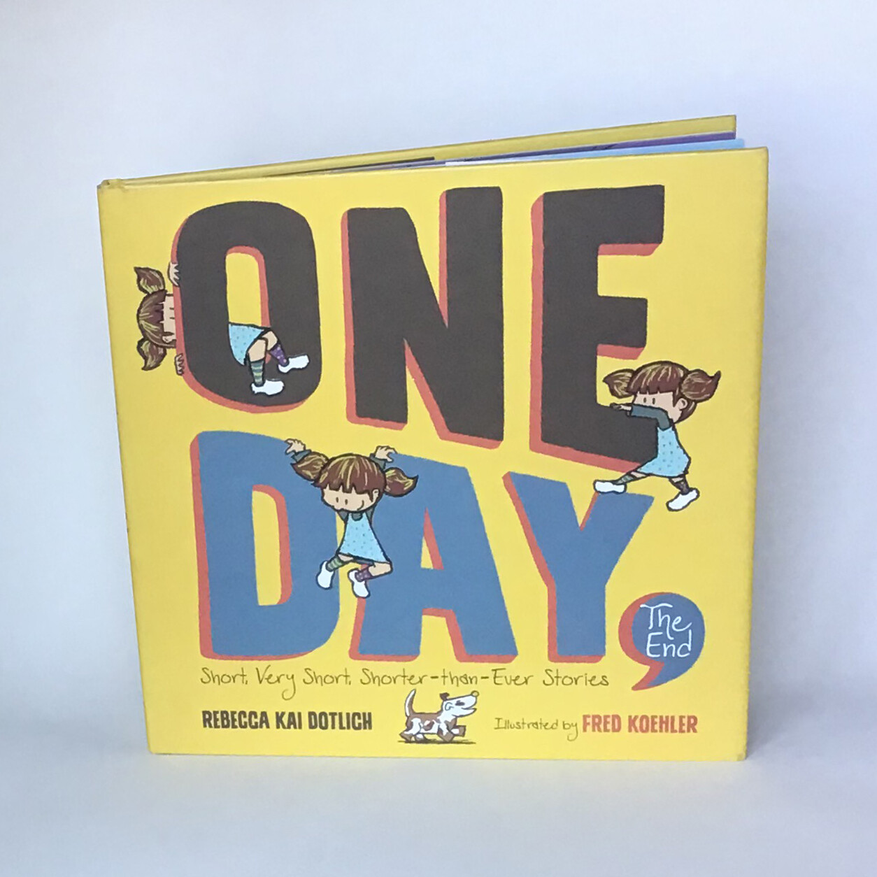 Signed copy of ONE DAY THE END - free US shipping