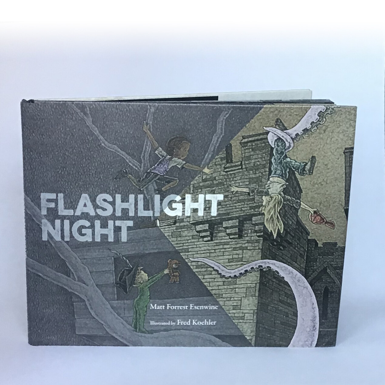 Signed copy of FLASHLIGHT NIGHT - free US shipping