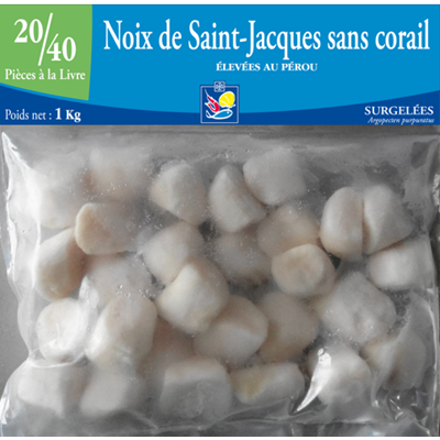 Noix de Saint-Jacques sans corail 20/40 pièces - SURGELÉ- 1kg