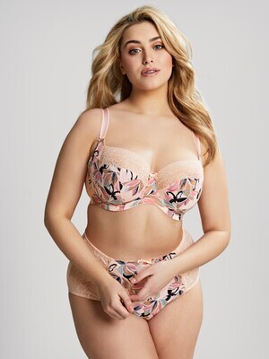 Panache Chi Chi