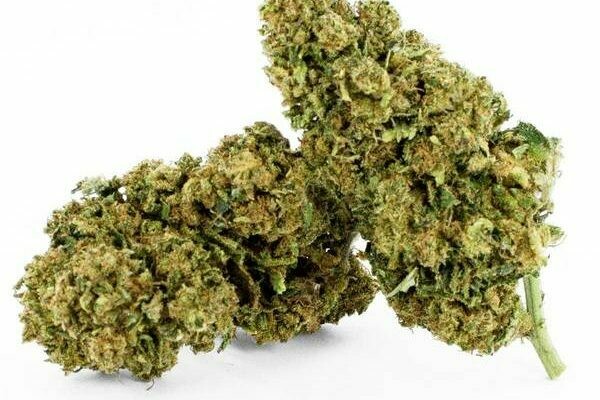 10 g Blueberry