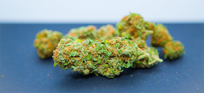 20g Canapa CANNATONIC al 27%