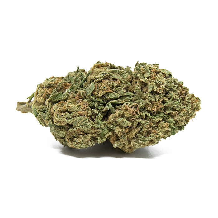 10g Dreamberry