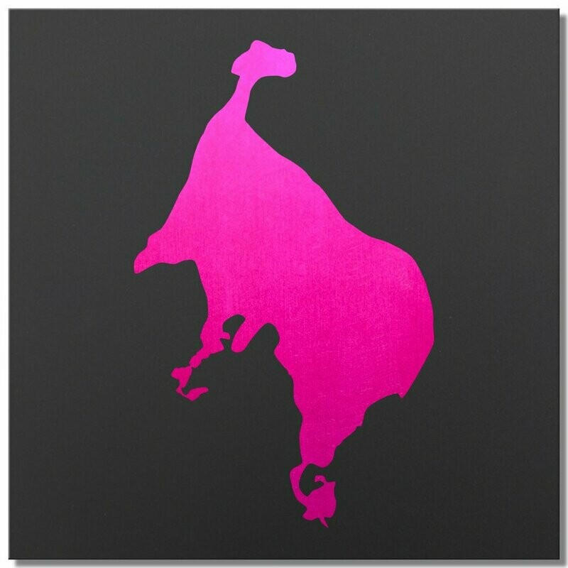 Müritz, Ciclamino, 25x25 cm