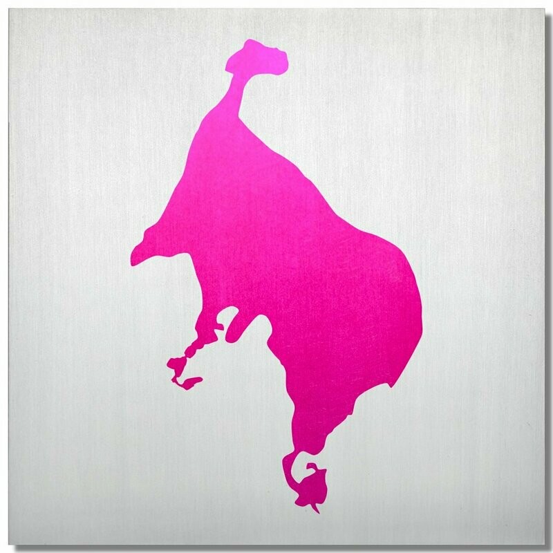 Müritz, Ciclamino, 25x25 cm