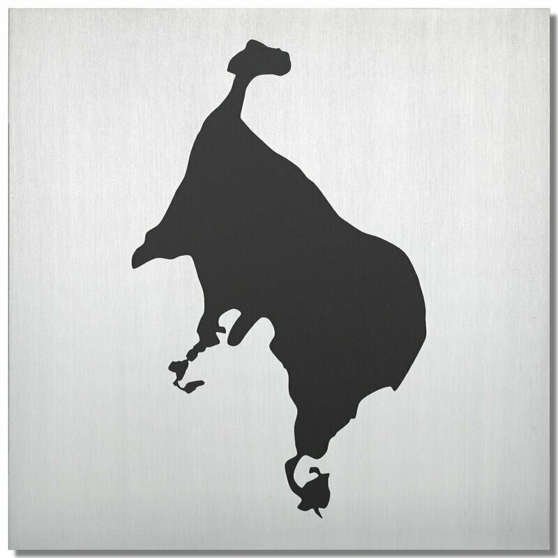 Müritz, Schwarz, 25x25 cm