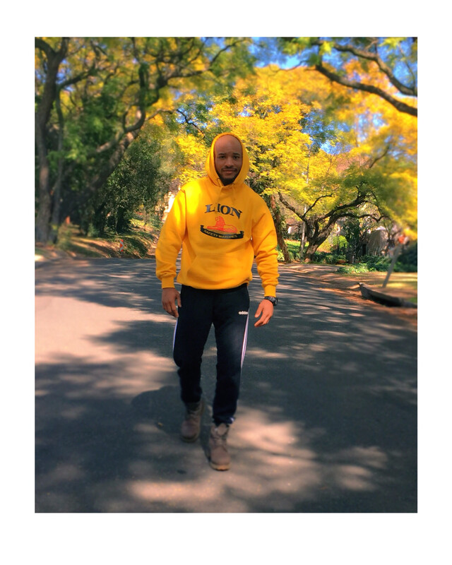 Lion Matches Hoodie
