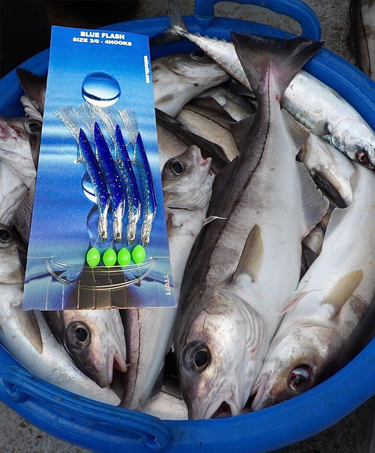 Blue Flash Fishing Lures