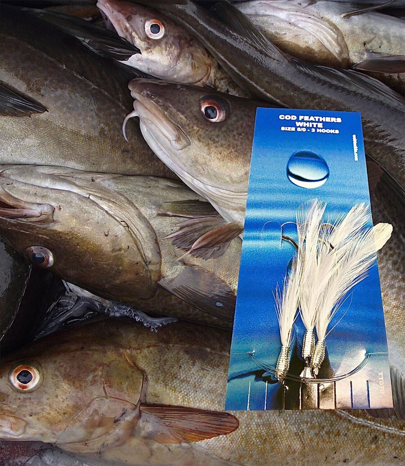 Cod Feathers