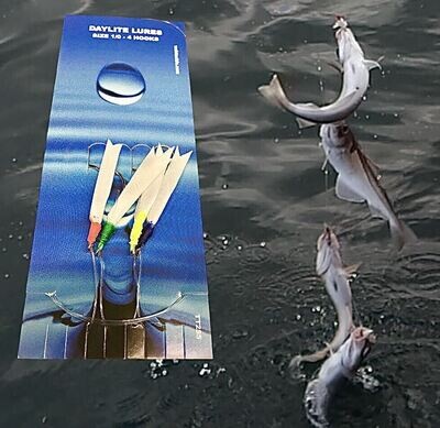 Daylight Lures