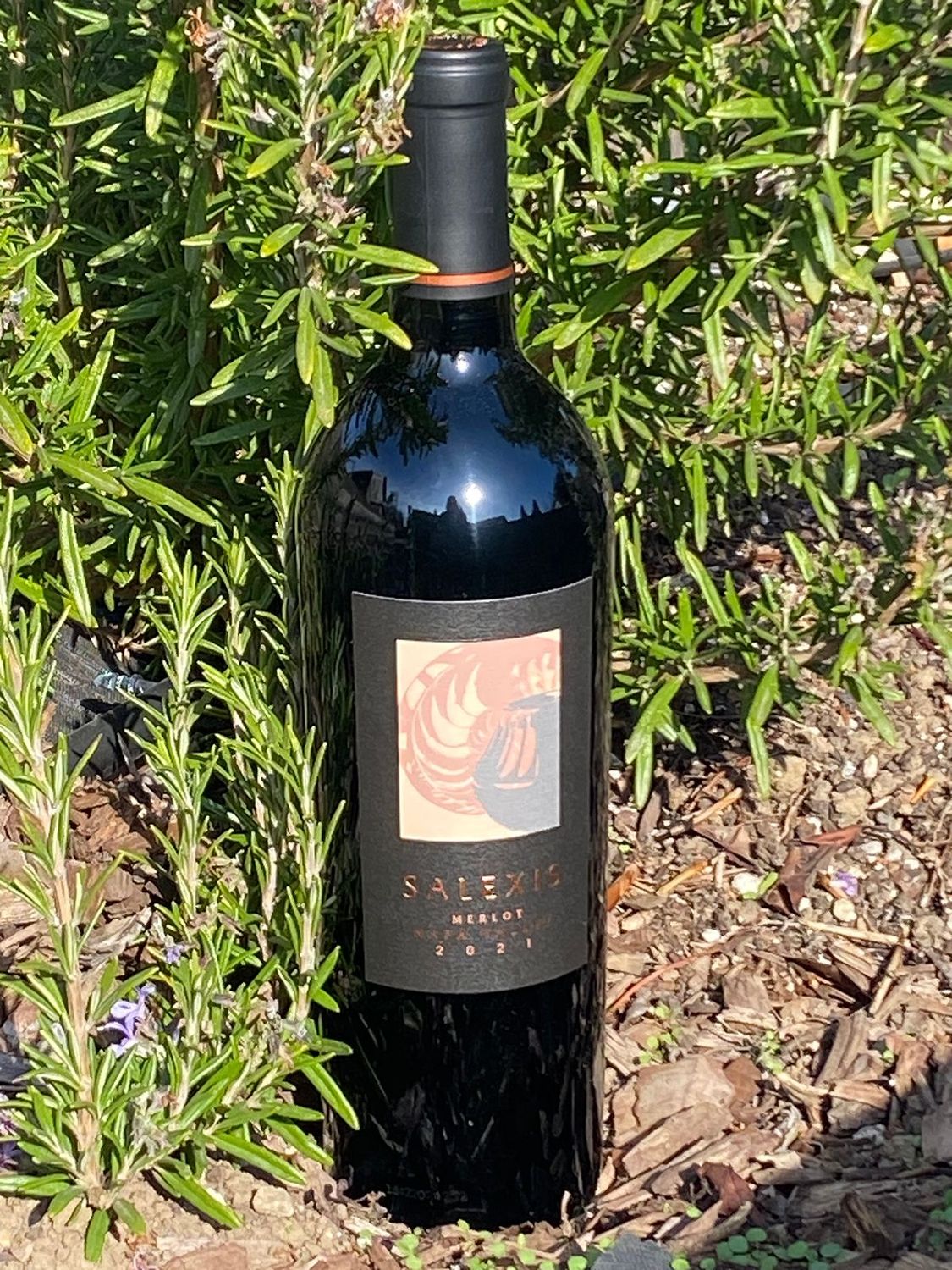 2021 Napa Valley Merlot