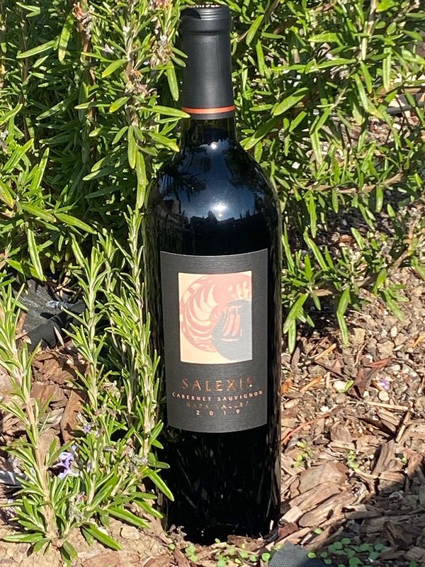 2019 Napa Valley Cabernet Sauvignon