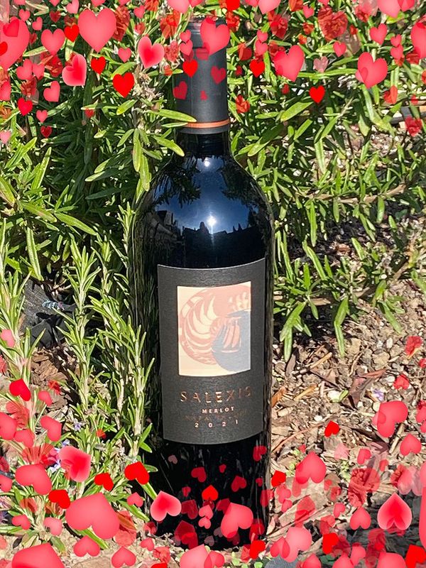 MONTH OF LOVE SPECIAL! 2021 Napa Valley Merlot