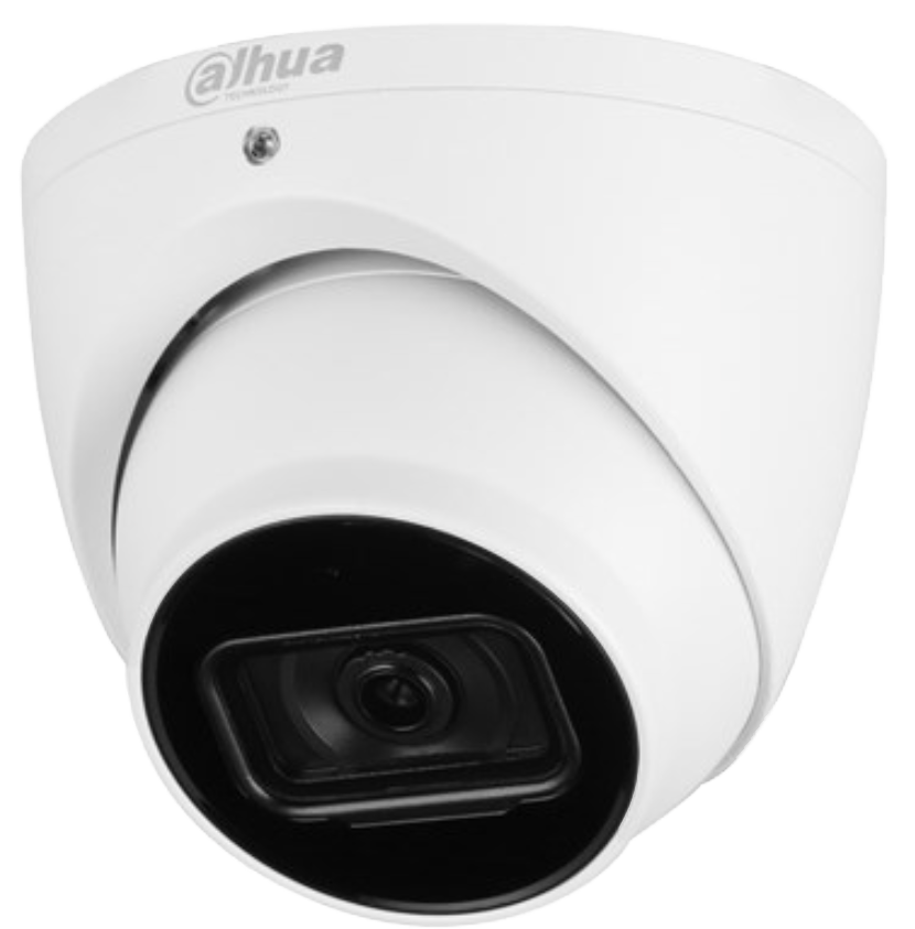Dahua 6MP IR Fixed-focal Eyeball WizSense Network Camera