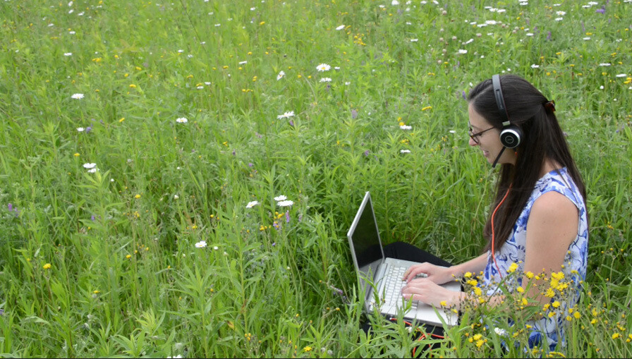 Work in the Field 5 Work in the Field 5
